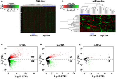 Combined Analysis of RNA Sequence and Microarray Data Reveals a Competing Endogenous RNA Network as Novel Prognostic Markers in Malignant Pleural Mesothelioma